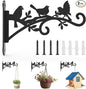 Metal Hanging Plant Bracket with Birdie Pattern 2 Pack – Heavy Duty Plant Hooks for Hanging Flower Baskets，Plants, Bird Feeder, Wind Chime - Indoor/Outdoor Use，Black Matte Texture (12 in)