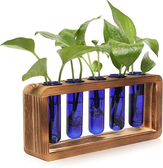 Terrarium Propagation Station with 5 Blue Glass Test Tubes, Pine Base