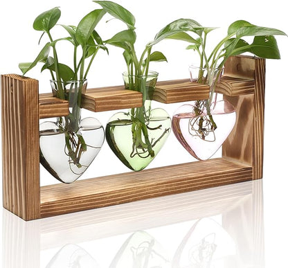 Terrarium Set: Heart Shaped Borosilicate Glass Vases with Wood Stand