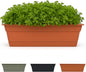 Bloem Dura Cotta Window Box Planter: 30" - Terra Cotta - Large Box with Tray, Weatherproof Resin Box, Removable Tray for Indoor & Outdoor Use, Gardening, 4 Gallon Capacity