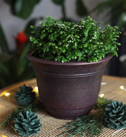 The HC Companies Sierra Round Self-Watering Pot - Lightweight Plastic Planter for Herbs & More - Durable Plant Pots for Indoor Plants & Outdoor Plants (10” Rustic Redstone, Pack of 1)