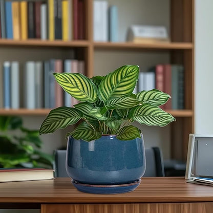 G EPGardening Ceramic Pot for Plants - Modern 7 Inch Round Planter with Drainage and Tray Indoor Outdoor for Flower, Porch Decor, Gardening Gifts, Retro Blue