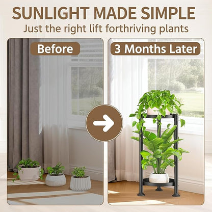 LASZOLA 2 Tier Black Corner Plant Stand Indoor for Large Tall Flower, Heavy Duty Sturdy Metal Vertical Tiered Planters Holder for Patio, Multi Level Wrought Iron Organizer Décor for Modern Farmhouse
