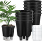 Self Watering Pots for Indoor Plants with Deep Reservoir and High Drainage Holes for Outdoor Plants and Flowers, Bare Root Planter (5.91'',Black,9 Pcs)