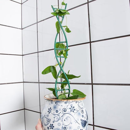Indoor Plant Trellis - DNA Spiral Design Metal Trellis for Potted Plants, Stylish Climbing Support for Small Houseplants, Durable & Easy to Install Garden Upgrade for Vining Plants