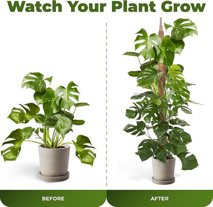 63 Inch Bendable Moss Pole Monstera Plant Support for Climbing Indoor Plants - Stakes for Potted Climbers - Tall Sticks Indoor Trellis for Houseplants - Accessories for Monstera Pot