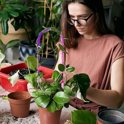 3 Pack Colorful Acrylic Plant Trellis for Indoor Plants, U-Shaped Small Plant Trellis for Potted Plants, Waterproof Climbing Support for Vine Ivy, Hoya, Pothos, Home Garden Decor