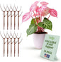 Stackable Plant Support Stakes, Indoor & Outdoor Houseplant Stem Support, Garden Accessories, Durable Trellis Alternative for Climbing & Potted Plants - Begonia Red, 10 Pack, 17" L