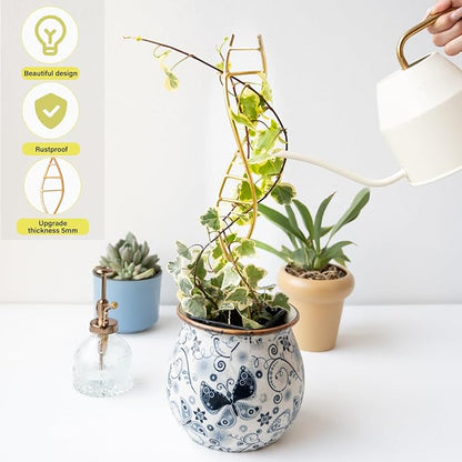 3PCS DNA Plant Trellis Indoor and Outdoor - Lightweight Metal Trellis for Potted Plants, Hoya & Pothos Climbing Support, Artistic Geometric Design, Durable & Easy Installation