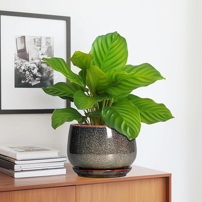G EPGardening 7 Inch Ceramic Pots for Plants - Ceramic Planters for Indoor Outdoor Plants, Round Plant Pots with Drainage and Saucer, Modern Planter, House Decor, Plant Lover Gifts, Speckled Brown