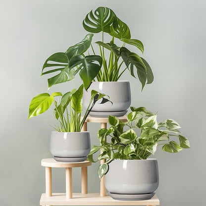 G EPGardening Ceramic Plant Pots - 9 Inch Ceramic Planters for Indoor Outdoor Plants, Modern Flower Pots with Drainage and Saucer, Round Planter, Garden Home Decor, Plant Lover Gifts, Light Grey