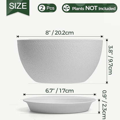 T4U 8 Inch Plant Pots, Plastic Planters with Drainage Holes, Plugs, and Saucers, Ideal for Indoor and Outdoor Use - 2 Pack, White