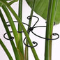 Black Monstera Plant Support Hook - 6.5 * 6.5IN -5 Piece Set, Durable Metal Stem Supports for Indoor Plants, Leaf Holder & Fishbone Cactus Stake, Stylish Design for Healthy Growth & Easy Care
