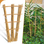 10 Pack 2ft Bamboo Trellis for Climbing Plants-Natural Garden Ladder Trellis, Fan -Shaped Support Trellis for Potted Plant Decor in Door