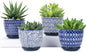 Selamica Ceramic Plant Pots, 4.6 Inch Flower Pots for Indoor Plants, Succulent Pots with Drainage Hole & Saucer, Succulent Planters for Succulent Cactus, Home Decor, Set of 4, Vintage Blue