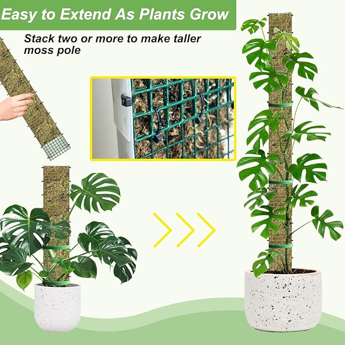 60" Metal Moss Pole, D Shape Sphagnum Moss Pole, Moss Poles for Climbing Plants, Monstera, Indoor Climbing Plants (2Pcs 60")
