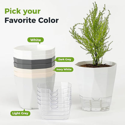 12 Pack Self Watering Plant Pots 6 Inches Self-Watering Planters for Indoor and Outdoor Plants African Violet Succulent Pots Clear Pot for Plants Large Herb Orchid Flower Houseplant Plant, White