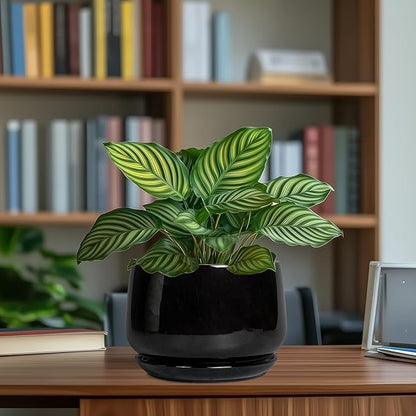 G EPGardening Ceramic Planter 7 Inch - Ceramic Pot for Plants with Drainage and Saucer, Round Plant Pots, Modern Indoor Outdoor Planter, Home Decor, Garden Gifts, Black