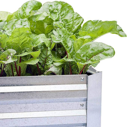Galvanized Raised Garden Beds for Vegetables Large Metal Planter Box Steel Kit Flower Herb (6 x 3 x 1 ft * 2 Pack, Galvanized)