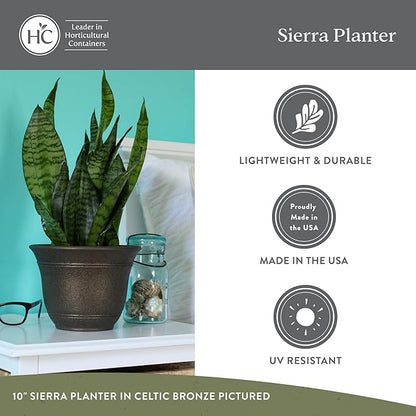 The HC Companies Sierra Round Self-Watering Pot - Lightweight Plastic Planter for Herbs & More - Durable Plant Pots for Indoor Plants & Outdoor Plants (10” Black Onyx, Pack of 2)
