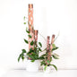 Treleaf Zella Grande Starter Kit – Wooden Extendable Plant Trellis for Indoor Climbing Houseplants – Modular Plant Support with 2 Bases + 2 Extensions - Moss Pole Alternative
