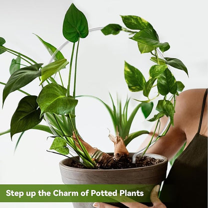 2 Pack Round Plant Trellis for Potted Plants Indoor Outdoor, Acrylic Small Trellis for Climbing Plants, Plant Support for Hoya Pothos Vine Ivy Monstera Flower Philodendrons Dischidia