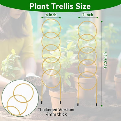 17.5 Inch Plant Trellis Indoor for Climbing Plants,Metal Small Garden Trellis for Potted Plants,Plant Stakes for Indoor Plants Accessories Hoya,Flower,Plant Support,Plant Gifts Gold 2PCS
