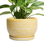 SQOWL Ceramic Flower Pots - 8 inch Plant Pot Indoor with Drainage Hole and Saucer, Modern Ceramic Planter Outdoor, Round Decorative Planter, Living Room Home Decor, Gifts for Plant Lovers, Yellow