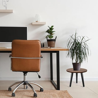 Indoor Plant Stand,Wood Mid Century Plant Table in Walnut Finish,Tall Plant Stand for Flower Pot,Modern Round Small Side End Table(Walnut (no Raised), 12"x10.8" 2 Pack)