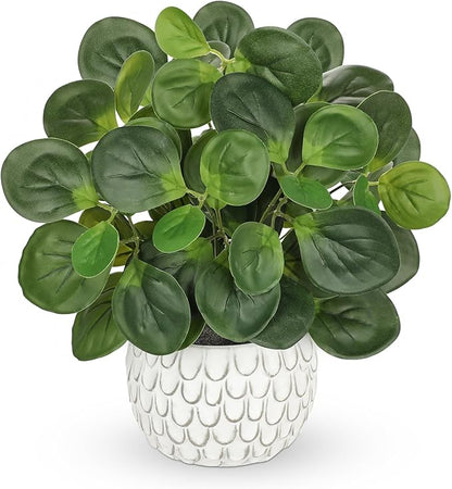 13" Artificial Plants Indoor Small Fake Plant in White Ceramic Pot, Silk Plants for Home Decor Indoor, Faux Potted Plant for Shelves, Desks, Home, Room, Office, Bedroom, Entryway, Tabletop Decor