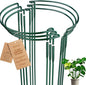 6 Pack Detachable & Assemblable Metal Plant Support Stakes - Garden Support Ring, Tomato Seedling Cage, Young Monstera/Pothos for Growing Indoor/Outdoor (10" W x 16" H)