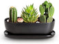 E-liu Oval Ceramic Planter Pot with Drainage Hole Saucers 11 Inch Succulents Planter Home Decor for Indoor Outdoor Plants Herb Cactus with 3 Mesh Pads, Plants Not Included, Black