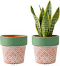 Terracotta Plant Pots Set of 2-5.9 Inch Vintage Pattern Clay Flowerpots with Green Rim & Drainage Holes, Decorative Terra Cotta Pots for Indoor Outdoor Garden Home Decor