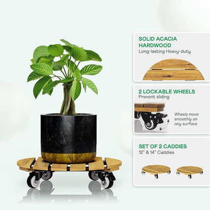 Idzo Combo 12 Inch and 14 Inch Acacia Wood Rolling Round Planter Caddies for Plant Pots, Heavy Duty Plant Stand with 360° Lockable Wheels, 264 lbs Capacity Caddy for Indoor and Outdoor Use, Golden Teak