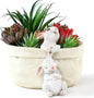 Rabbit Flower Pot Succulent Planter Garden Pots, Easter Decorative Flower Pot,Animal Shaped Cartoon Planter Pots,Art Decorations（with Drainage Hole）