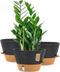 12-Inch Self Watering Planters with Drainage Holes, Large Flower Pots for Indoor Outdoor Plants, Garden Pots Grey 3 Pack