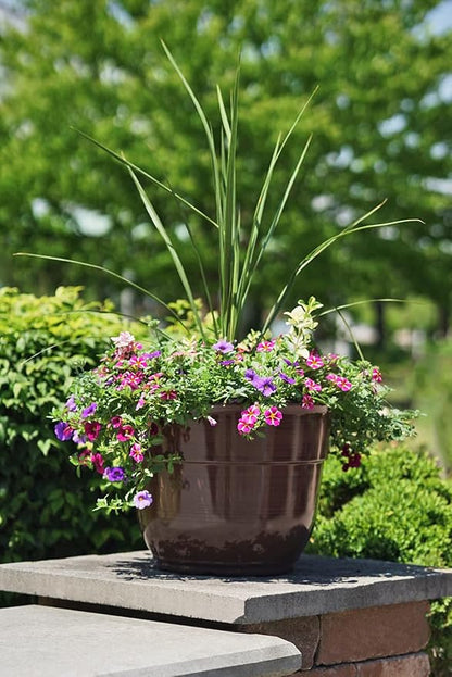 Garden Elements Indoor/Outdoor Glazed Brushed Happy Plastic Planter, Large, Dark Brown, 15" (Pack of 2)