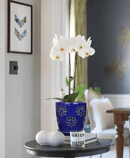 Oairse 6 inch Orchid Pots with Holes, Royal Blue Ceramic Orchid Pot for Repotting Small Indoor Plant Pots with Drainage Holes and Saucers Decorative Flower Planter for Orchids, Indoor Plant