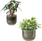 Melphoe Self Watering Pots for Indoor Plants Planter, 8.3/5.3 Inch 2 Pack Planters Self Watering Plant Pots for Flower, Houseplants, Succulent, African Violets and Cactus with Drainage