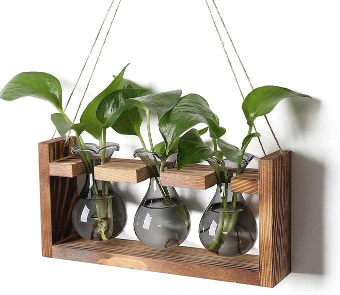 Terrarium Propagation Station with 3 Gray Glass Bulbs and Wooden Stand