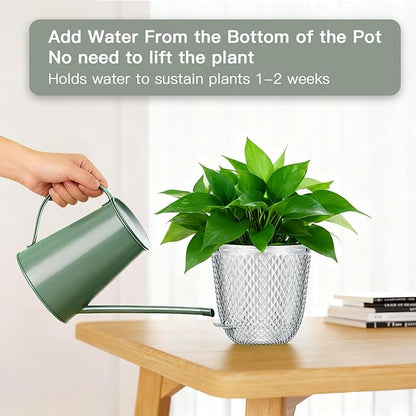QCQHDU 2 Pack Self Watering Pots, 5.7 Inch Flower Pots with Drainage Holes and Water Filling Port, Garden Planter for Indoor Outdoor Plants (Clear)