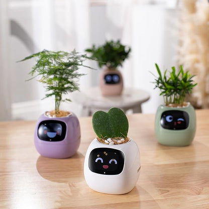 Planter Pot with WiFi App Watering, Purple Plastic, Modern Style