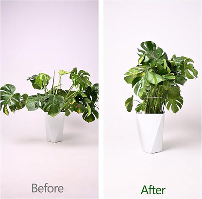 5PCS Monstera Plant Support Hook - 5.5x5.5 inch Premium Indoor Stem Stabilizer for Monstera & Fishbone Cactus, Durable,Easy Installation, Gentle Protection for Healthy Plant Growth