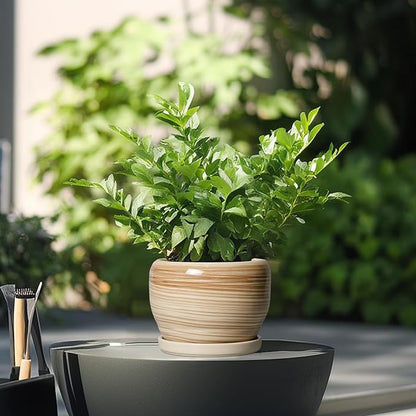 SQOWL Ceramic Pot for Plants - 6 Inch Indoor Planter with Drainage Hole and Tray, Round Modern Flower Pot Outdoor, Decorative Succulent Planter, Kitchen Decor, Gifts for Plant Lovers, Yellow