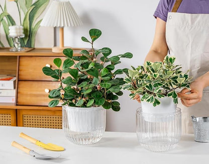 Melphoe Self Watering Pots for Indoor Plants Planter, 6.5 Inch 2 Pack Planters Self Watering Plant Pots for Flower, Houseplants, Succulent, African Violets and Cactus with Drainage
