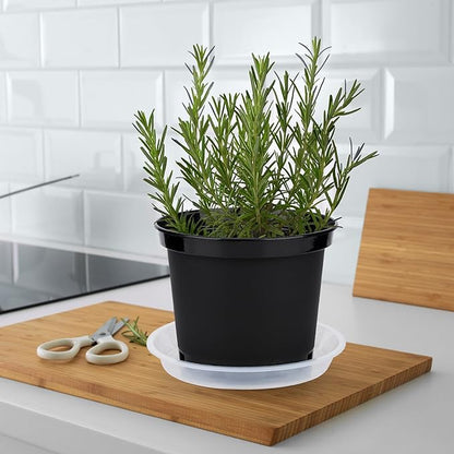 GREANER Plastic Garden Pots, 8 Inch Nursery Pots for Indoor Outdoor Plants, Black Plastic Planters for Planting Seeds, Flower, Succulent(Pack of 10)