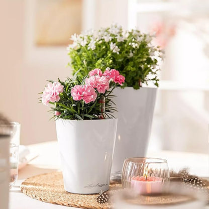 Lechuza MINI-DELTINI Cream White High Gloss, Self-Watering Small Indoor Planter, H5.1 L3.9 W3.9, 0.4L in