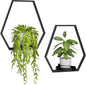 Wall Planters for Indoor Plants, Plant Frames Wall Decor Living Room Plant Stand Hanging Wall Plants Holder to Hold Large Pots Wall Plant Hanger Window Plant Shelves for Outdoor Entryway