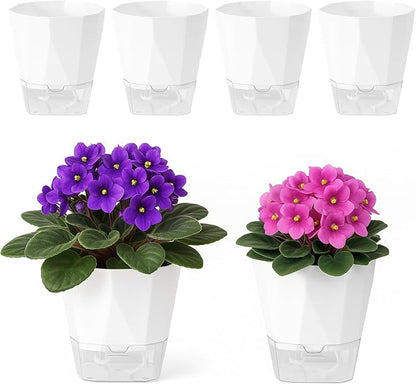 6 Pack Self Watering Pots for Indoor Plants, 5 Inches Self Watering Planters Small African Violet Self Watering Clear Pots for Plants Herb Orchid Flower Houseplant Pots, White