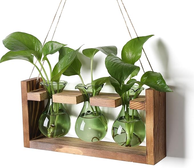 Terrarium Propagation Station, 3 Green Borosilicate Glass Bulbs, Wooden Stand